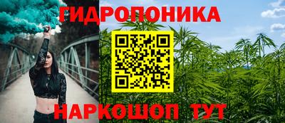 прущие грибы Вязники