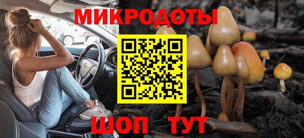 Псилоцибиновые грибы GOLDEN TEACHER Бор